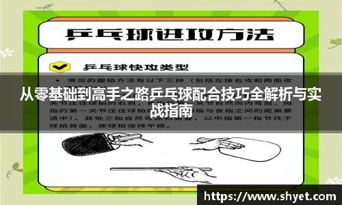 从零基础到高手之路乒乓球配合技巧全解析与实战指南